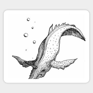 Narwhal Sticker